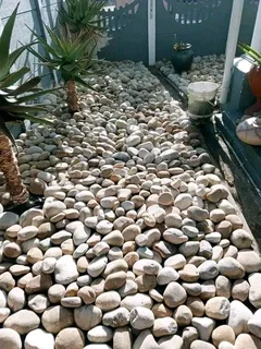 cheap river stones available