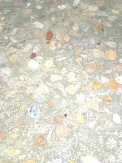 Grinding And Polishing of Floors