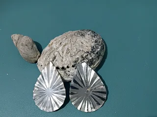 Silver earrings