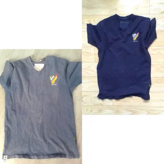 Fabric dyeing services