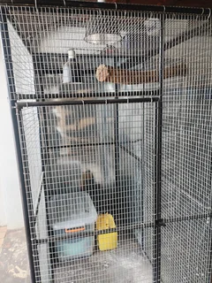 Bird avairy/Outdoors reptile enclosure