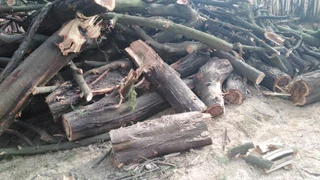 Firewood - Ad posted by Barry Preston