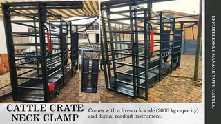 Cattle crate with weighing scale