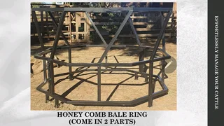 Cattle crate with weighing scale