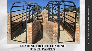 Cattle crate with weighing scale