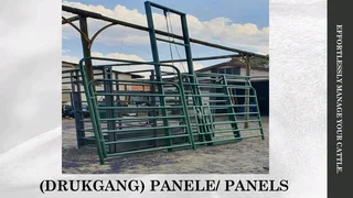 Cattle crate with weighing scale