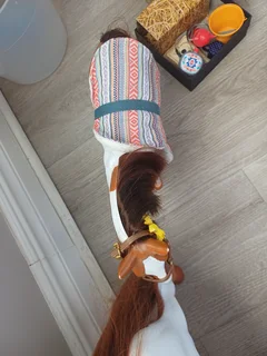 Mother and foal +accessories