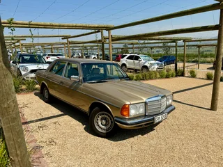 1984 Mercedes-Benz W123 Sedan Champagne manual transmission, no aircon