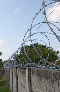 Barbed Razor Wire