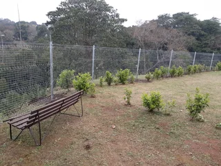 Clear View Fencing