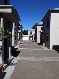 S.M PAINTING PROJECTS