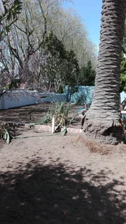 S.M PAINTING PROJECTS