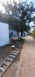 S.m Painting Projects