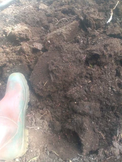 Garden services and Landscaping