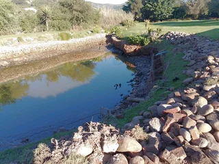 Garden services and Landscaping