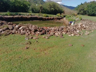 Garden services and Landscaping