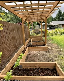 Garden services and Landscaping