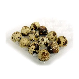 Fresh quail eggs