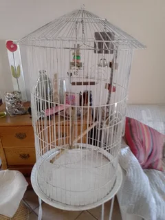 Bird Cage
