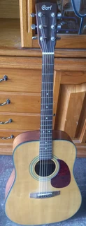 Cort Acoustic Guitar