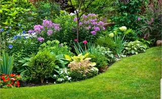 Looking for garden job or housekeeping