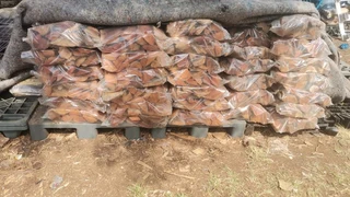 Firewood for sale
