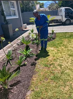 Malawian helper is looking for a job