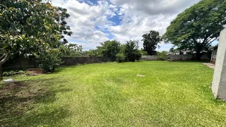 3 bedroom house available for rental