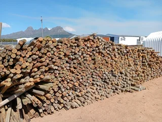 Hi I&#39;m selling treated CCA green poles 2.1m 60/70mm