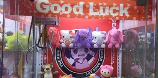 Crane claw teddy bear machine