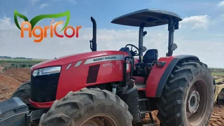 2017 - Ad posted by Lize