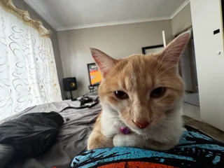 Anim - Ad posted by DjKuddlez Kuddlez