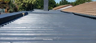 Waterproofing and roofing