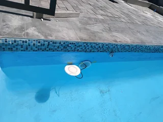 Swimming Pool Specialist