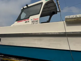 Butt cat/ carry cat hybrid with commercial licence