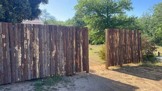 Pinewood Fencing - Bargain