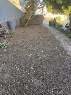 OLIVE PITS FOR GARDEN