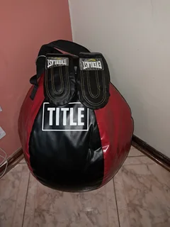 Title punching bag with gloves