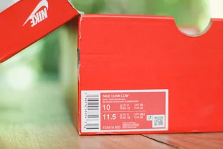 Nike Dunk Low
