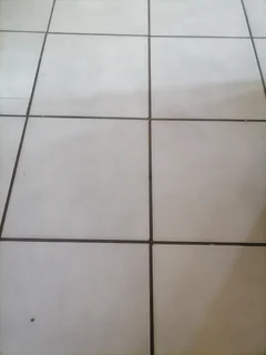 Rental in Witpoortjie