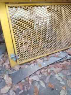 Compressor Head with Motor.