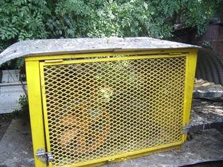 Compressor Head with Motor.