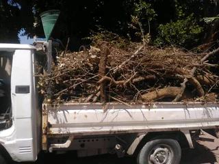 Professional &amp; Reliable Tree Felling *stump Removal*yard Cleaning Services* Garden Refuse
