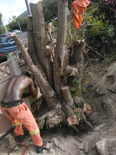 CHEAPEST GARDEN REFUSE REMOVAL* TREE FELLING *STUMP REMOVAL*YARD CLEANING SERVICES*