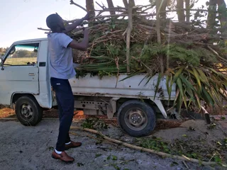 Affordable Price For Garden Refuse Removal* Tree Felling *stump Removal *plot Cleaning