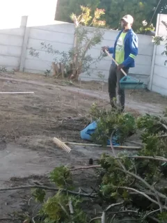 AFFORDABLE PRICE FOR GARDEN REFUSE REMOVAL* TREE FELLING *STUMP REMOVAL *PLOT CLEANING