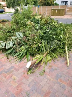 AFFORDABLE PRICE FOR GARDEN REFUSE REMOVAL* TREE FELLING *STUMP REMOVAL *PLOT CLEANING