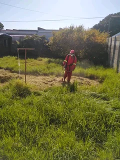 AFFORDABLE PRICE FOR GARDEN REFUSE REMOVAL* TREE FELLING *STUMP REMOVAL *PLOT CLEANING