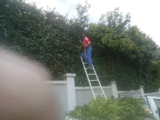 AFFORDABLE PRICE FOR GARDEN REFUSE REMOVAL* TREE FELLING *STUMP REMOVAL *PLOT CLEANING