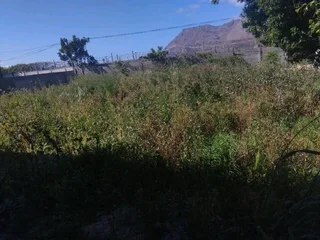 AFFORDABLE GARDEN REFUSE REMOVAL* TREE FELLING *STUMP REMOVAL*YARD CLEANING